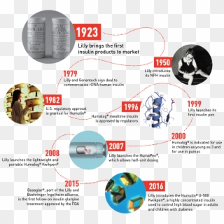 History Of Lilly Insulin Timeline Infographic - Circle, HD Png Download