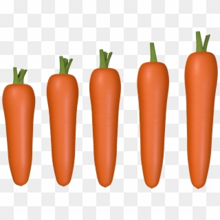 Rábano Zanahoria C4d Png Y Psd - Carrot, Transparent Png