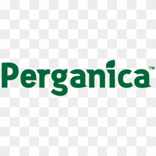 Perganica Logo - Graphics, HD Png Download