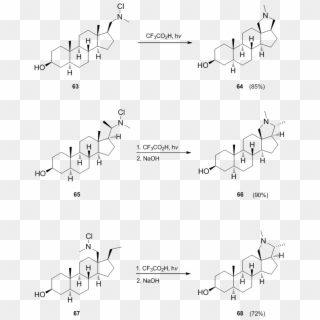 Example 8 Steroids - Example Of Steroids, HD Png Download
