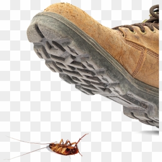 Stepping On Roach, HD Png Download