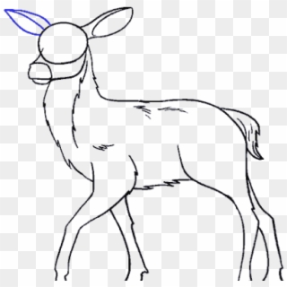 Drawn Stag Drawing - Deer, HD Png Download