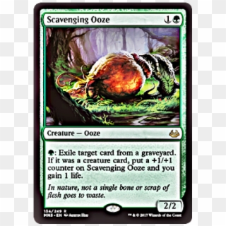 Scavenging Ooze Modern Masters 2017 English Foil - Magic: The Gathering, HD Png Download