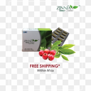 Grab Now With Special Price & Enjoy Free Shipping Within - Lingonberry, HD Png Download
