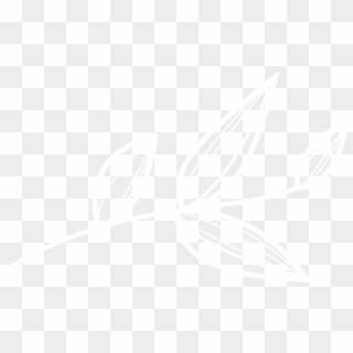 Transparent Png