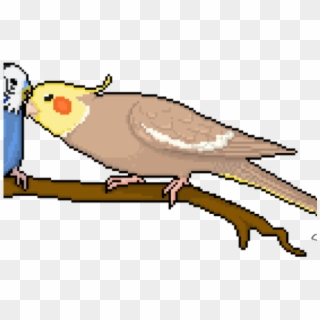 Budgie Clipart Pixel Art - Pixel Art Cocktail Bird, HD Png Download