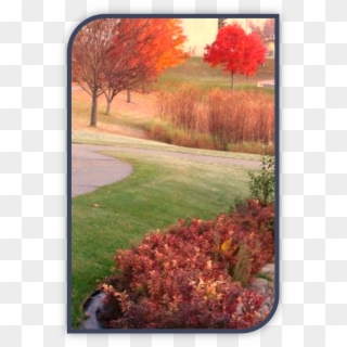 Picture2 - Autumn, HD Png Download