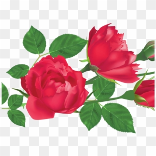 Red Rose Clipart Leaf Png - Rose Leaves Clipart, Transparent Png