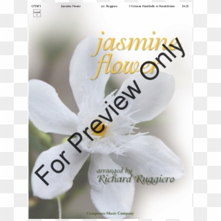 Click To Expand Jasmine Flower Thumbnail, HD Png Download