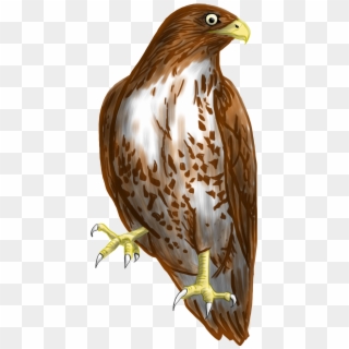 Download Png Image Report - Kite Bird Clipart Png, Transparent Png