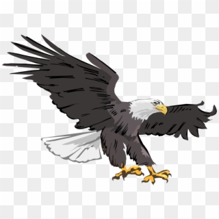 Eagle Png PNG Transparent For Free Download , Page 4- PngFind