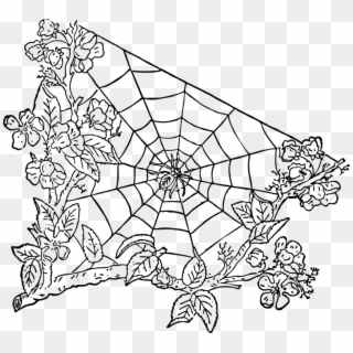 Halloween Spider Web Png Image With Transparent Background - Spider Web Transparent Png, Png Download