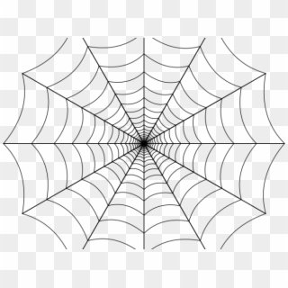 Drawn Spider Web Pdf - Spider Web No Background, HD Png Download