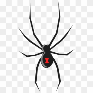 Spider Free To Use Clip Art - Black Widow Spider How To Draw, HD Png Download