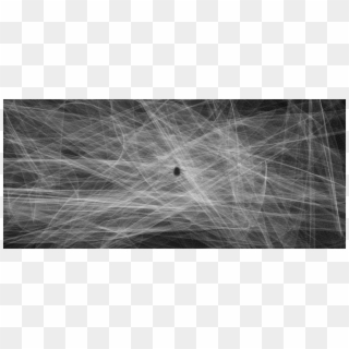 900 X 395 21 - Spider Web Texture Png, Transparent Png