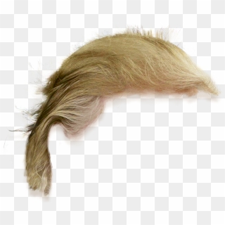 Donald Trump Hair Png Transparent, Png Download