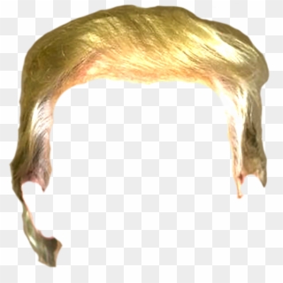 Trump Hair Png, Transparent Png