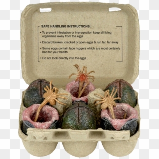 Alien Xenomorph Egg Set In Carton - Neca Alien Eggs 6 Pack, HD Png Download