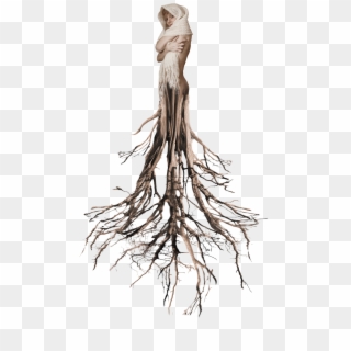 Tree Roots Surreal Woman Tumblr Ftestickers - Roots Png, Transparent Png