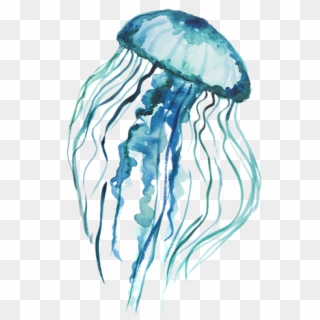 Jellyfish Stickers, HD Png Download