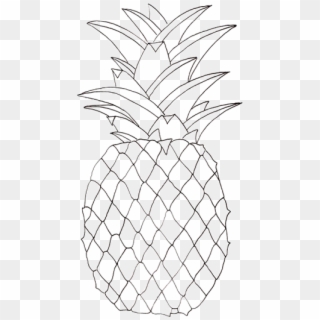 Drawing Details Pineapple - Pineapple Pictures To Colour, HD Png Download