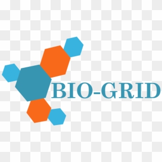 Bio Grid Cleanroom Ceiling System 01 - Graphic Design, HD Png Download