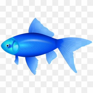 Blue Fish Png Clipart Image - Blue Fish Png, Transparent Png