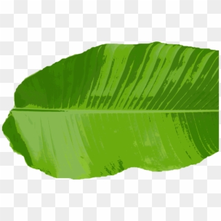 Banana Leaf Png, Transparent Png