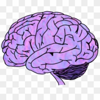 Brain Sticker - Blue And Purple Stickers, HD Png Download