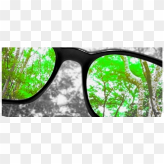 Effect Of Colorblind Glasses - Stained Glass, HD Png Download