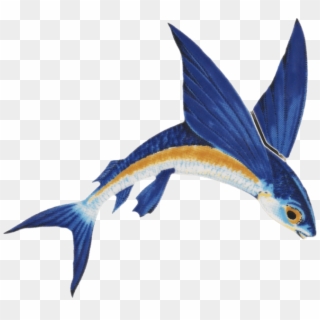 Flying Fish Png - Barbados Flying Fish Png, Transparent Png