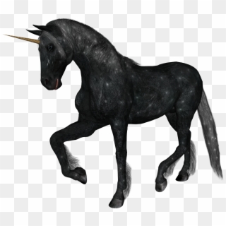 Realistic Black Unicorn, HD Png Download