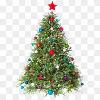 The Freshest Christmas Trees - Christmas Tree Hd Png, Transparent Png