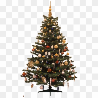 Christmas Tree Png - Christmas Tree, Transparent Png