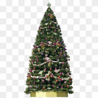 Christmas Tree Png Image, Transparent Png