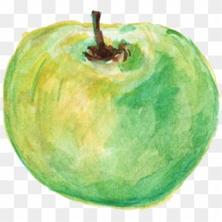 Free Download - Watercolor Green Apple Png, Transparent Png