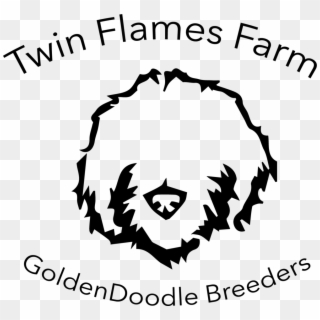 Twin Flames - Labradoodle Clipart Black And White, HD Png Download