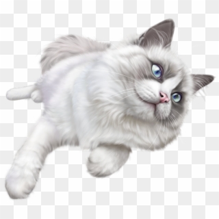 White Cat Png Clip Art - White Cat Transparent Background, Png Download