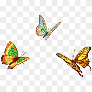 Three Butterflies Png Clipart Picture, Transparent Png