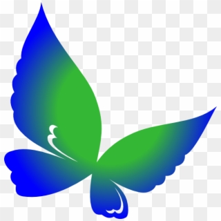 Butterfly Png, Transparent Png