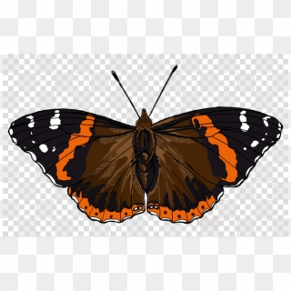 Admiral Butterfly Png Clipart Monarch Butterfly Red - Smart Phone Not Allowed, Transparent Png