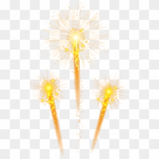 Free Png Fireworks Png - Dandelion, Transparent Png