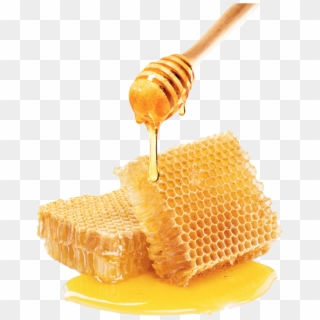 Queen Honey Is Looking To Reverse Irresponsible Practices - Honeycomb High Resolution, HD Png Download