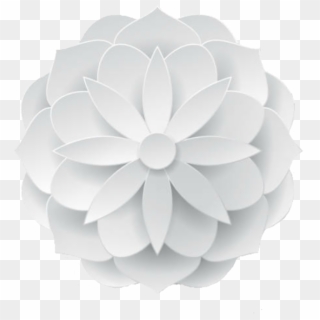 #flower #paperflower #decoration #element #vector #white - White Flower Transparent Background, HD Png Download