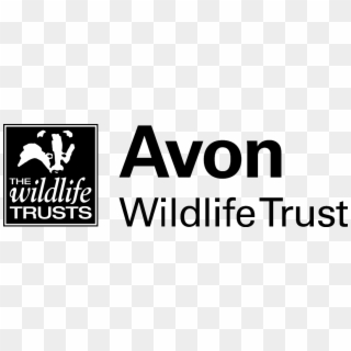 Avon Wildlife Trust Logo, HD Png Download