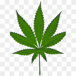 Medical Marijuana Is Legal In Arizona - Cannabis Leaf Vector, HD Png Download