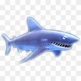 Hungry Shark Evolution All Sharks With Name, HD Png Download
