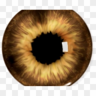 Brown Eyes Clipart Yellow Eye - Picsart Eyes Lenses Png, Transparent Png