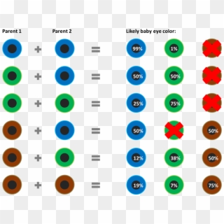 Baby Eye Color Chart According To Genetics What Are - Baby Eye Color Chart, HD Png Download