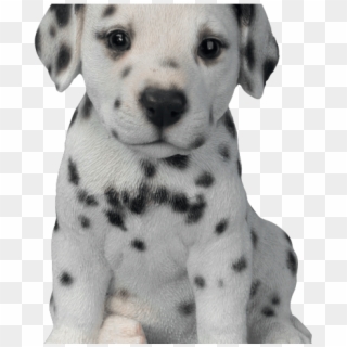 Dalmatian Clipart Puppy Chow - Dalmatian Puppy, HD Png Download